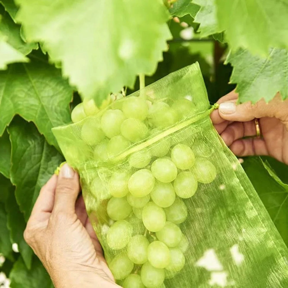 Reusable Fruit Protection Netting Bags with Drawstring (50/100 pcs)